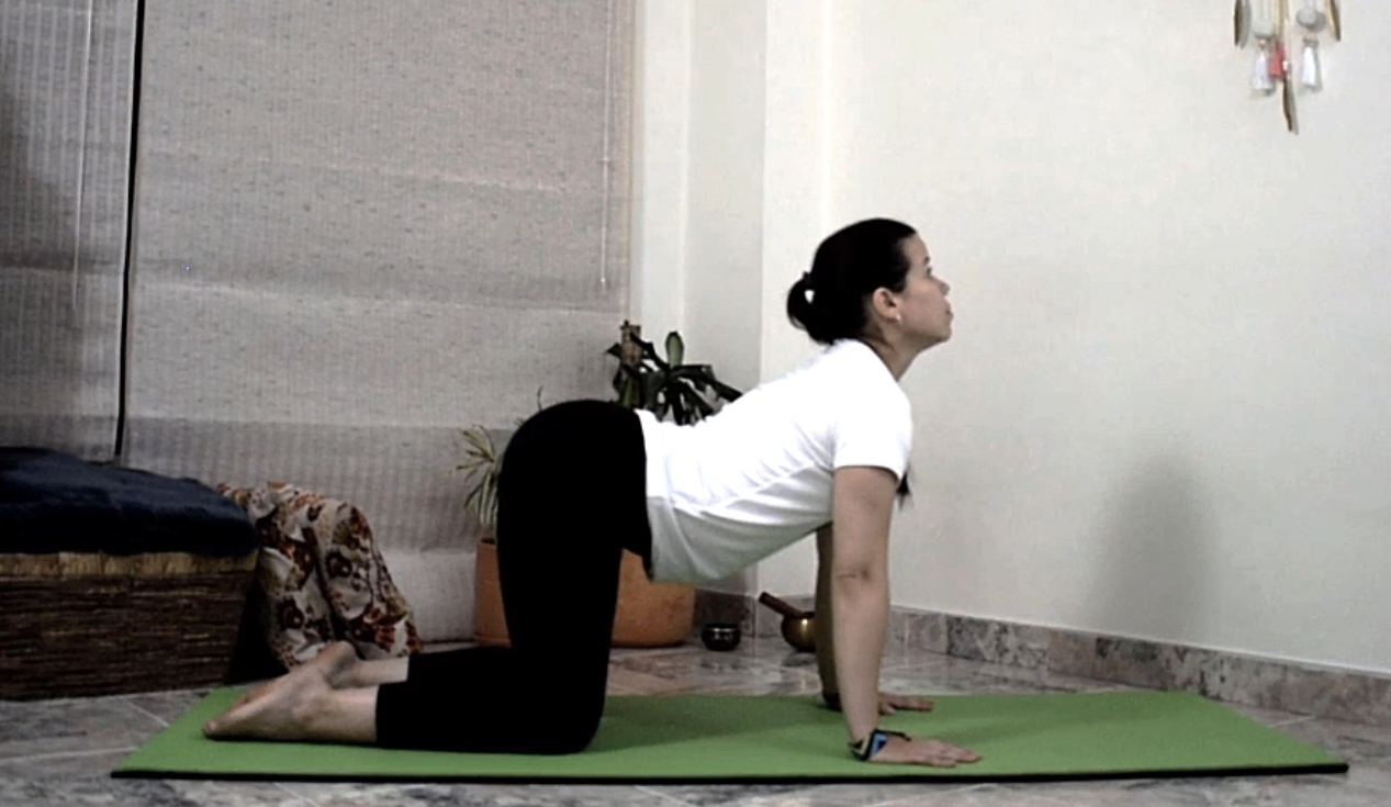postura de gato en yoga para aliviar el estres